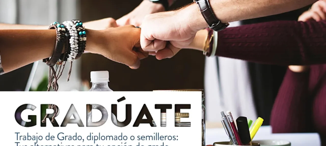 graduate-opcionesgrado_003.jpg