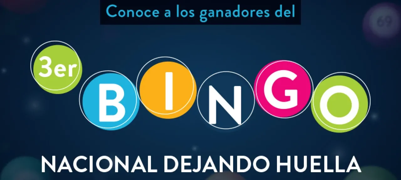 webnoticia_bingo.jpg