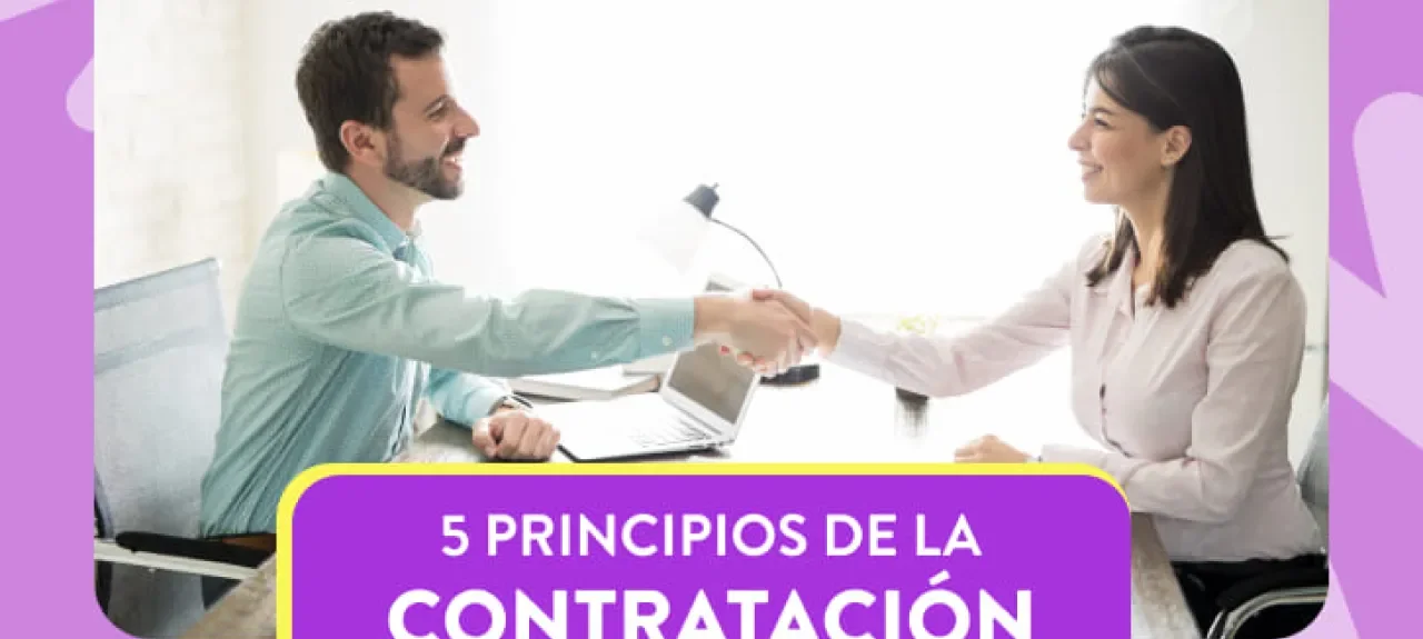 ¿Cuáles son los principios de la contratación estatal?