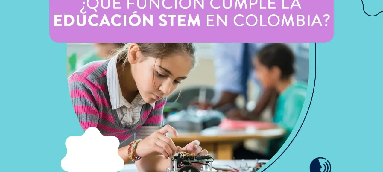 Función de la Educación STEM