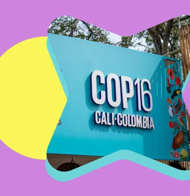 COP 16 en Cali, Colombia 2024