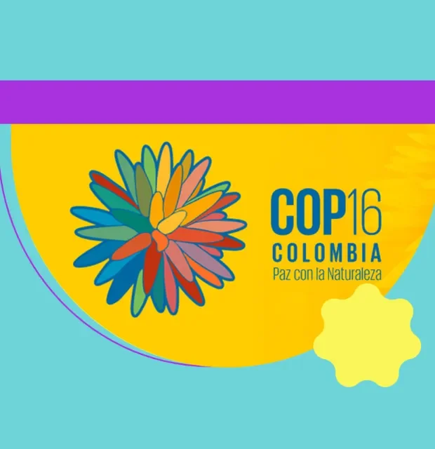 Participación del Poli en la COP 16