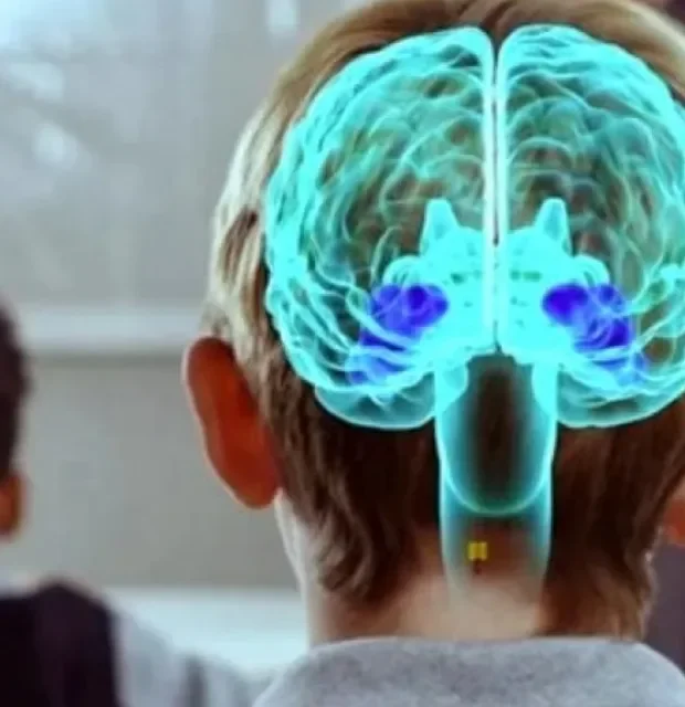 Como la neuroeducación transforma el futuro laboral