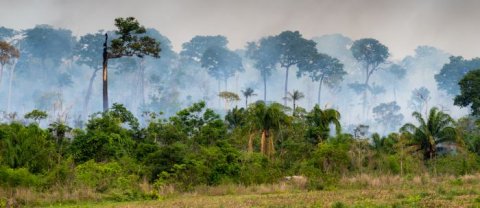 proteger la selva amazonica