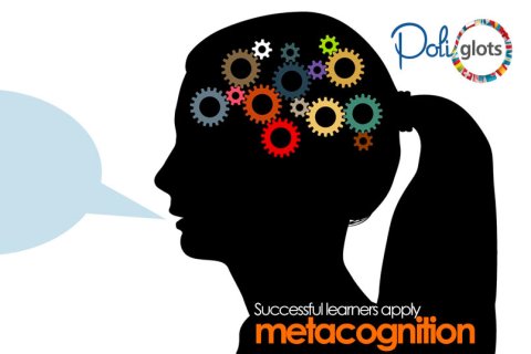 In fact, successful learners apply metacognition