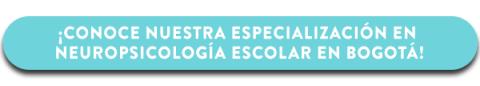 La especialización en Neuropsicología Escolar estudia la relación entre el desarrollo del cerebro y el proceso de aprendizaje en los niños.