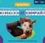 web_noticia-com-4721_-_cubrimiento_animales_de_compania.jpg