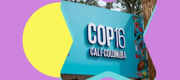 COP 16 en Cali, Colombia 2024